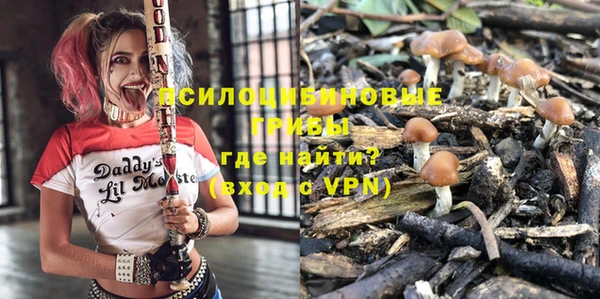 apvp Протвино