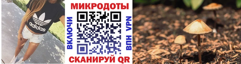 Галлюциногенные грибы прущие грибы  ссылка на мегу ссылки  Чкаловск 
